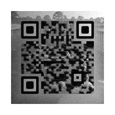 noise + shadow at 5px